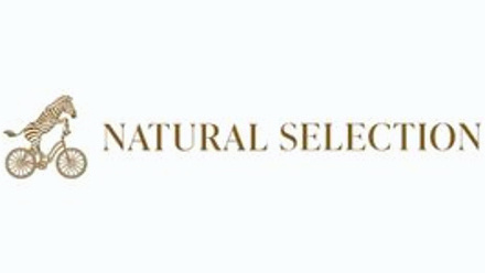 Web Logo_ Natural Selection.jpg