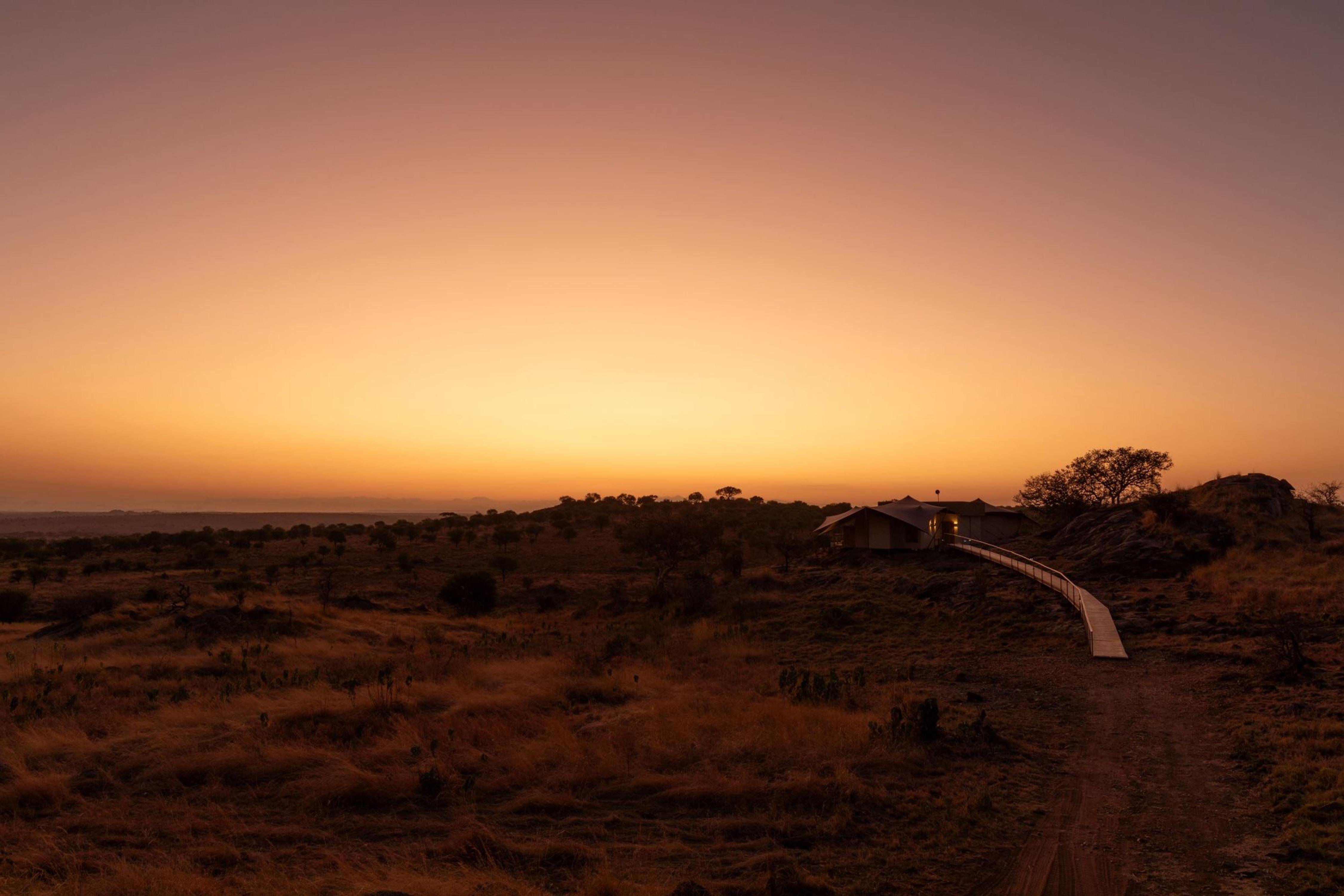 ENVI+SISINI+SERENGETI+.jpg