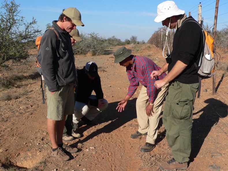 walk-with-pokkie-benadie-volunteer-programme-samara-conservation-karoo-south-africa copy.JPG