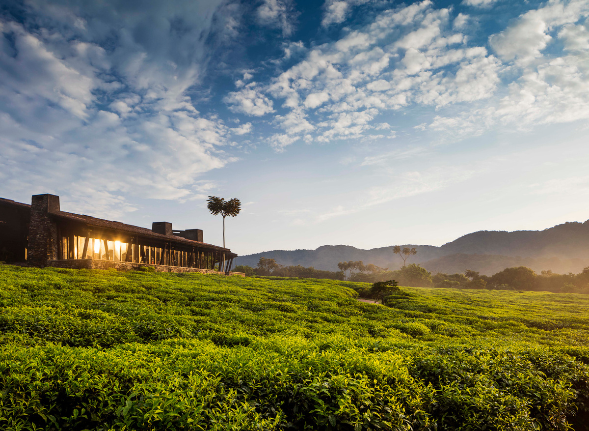 One&Only Nyungwe House