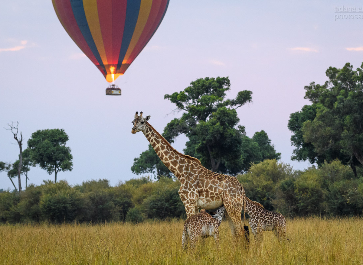 Mara Balloon Temp008.jpg
