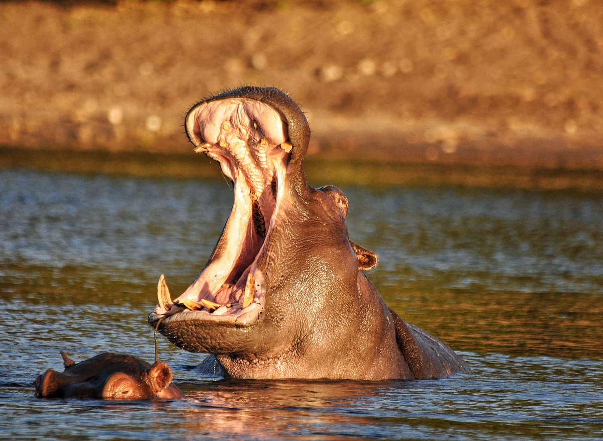 Tanz TH IMG_0784.JPG