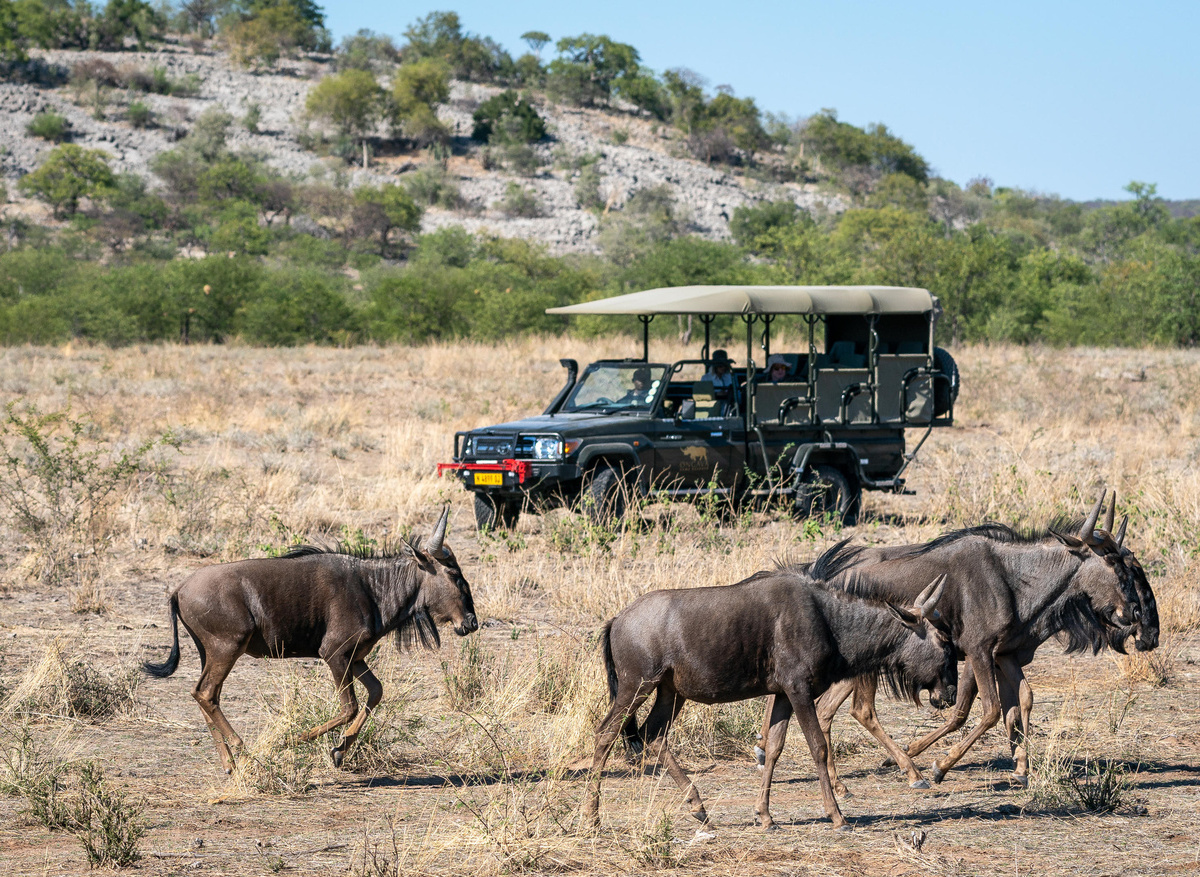 Ongava Game Reserve_1.jpg