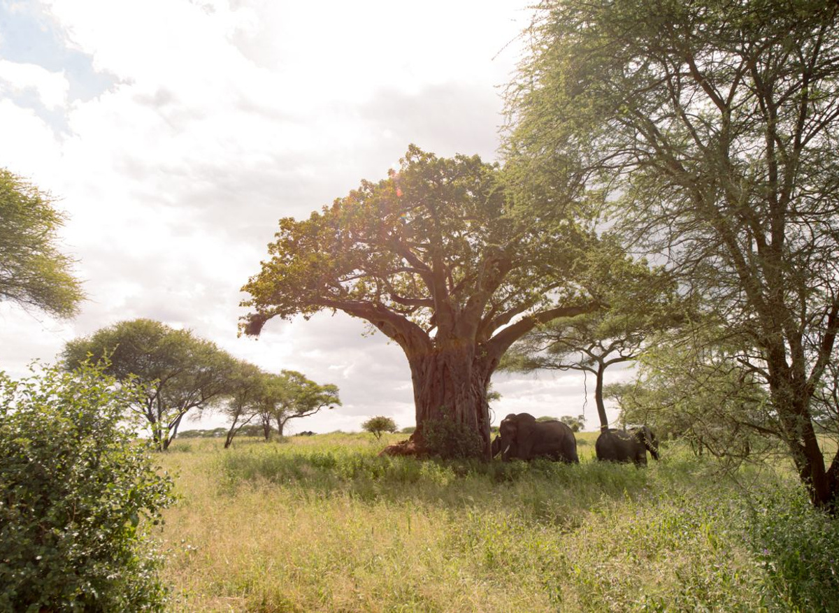 2023-12-02 18.04.52.jpg