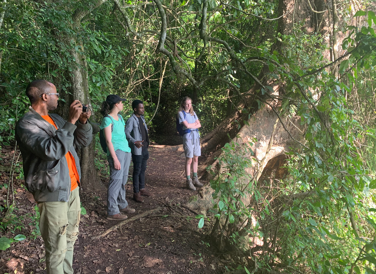 Lake Duluti forest walk.JPG