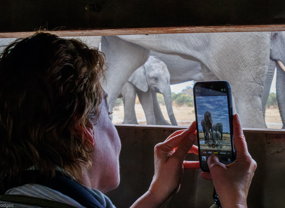 Jozibanini Camp - Look Up Hide