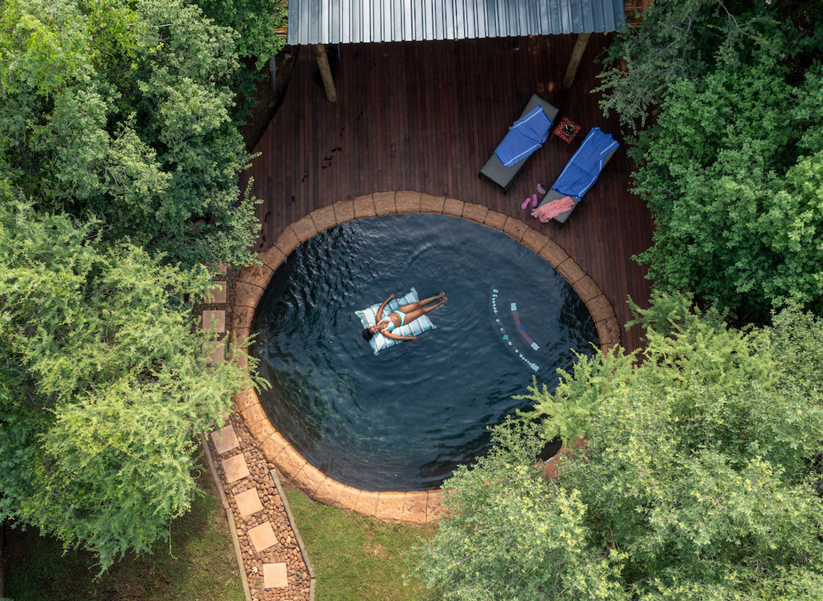 Tree Lodge Swimming Pool.jpeg
