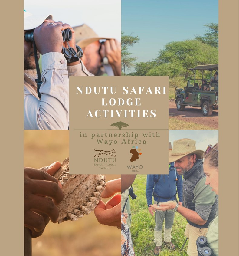 E5AF-copy-of-ndutu-safari-lodge-activities-2021-2022-42-x-45-cm.jpg