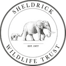dswt-logo.png