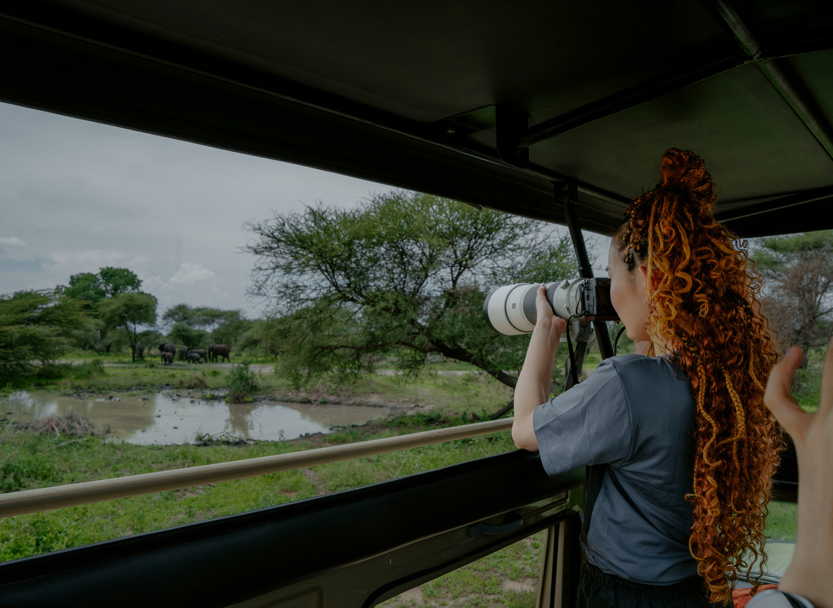 Safari Guest Enjoying Wildlife Viewing in Tanzania