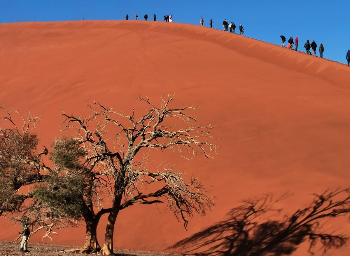 Climbing Big Daddy Dune Namibia