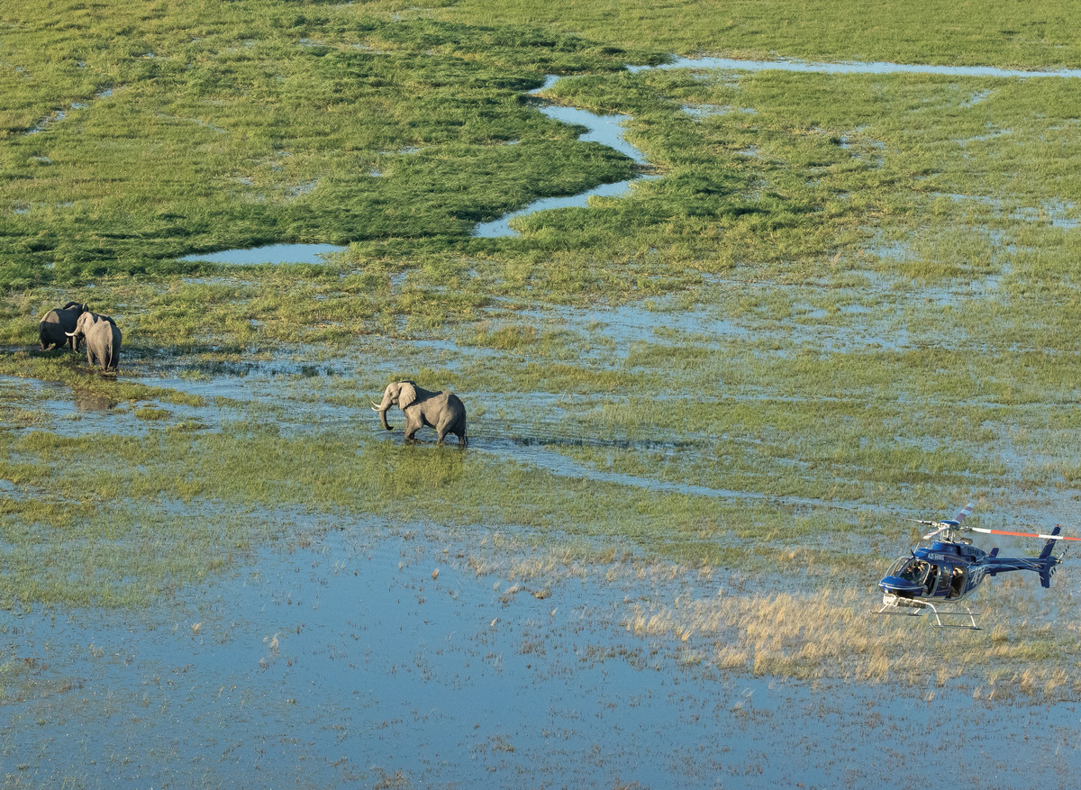 Helicopter Horizons - Scenic Flight and Elephants