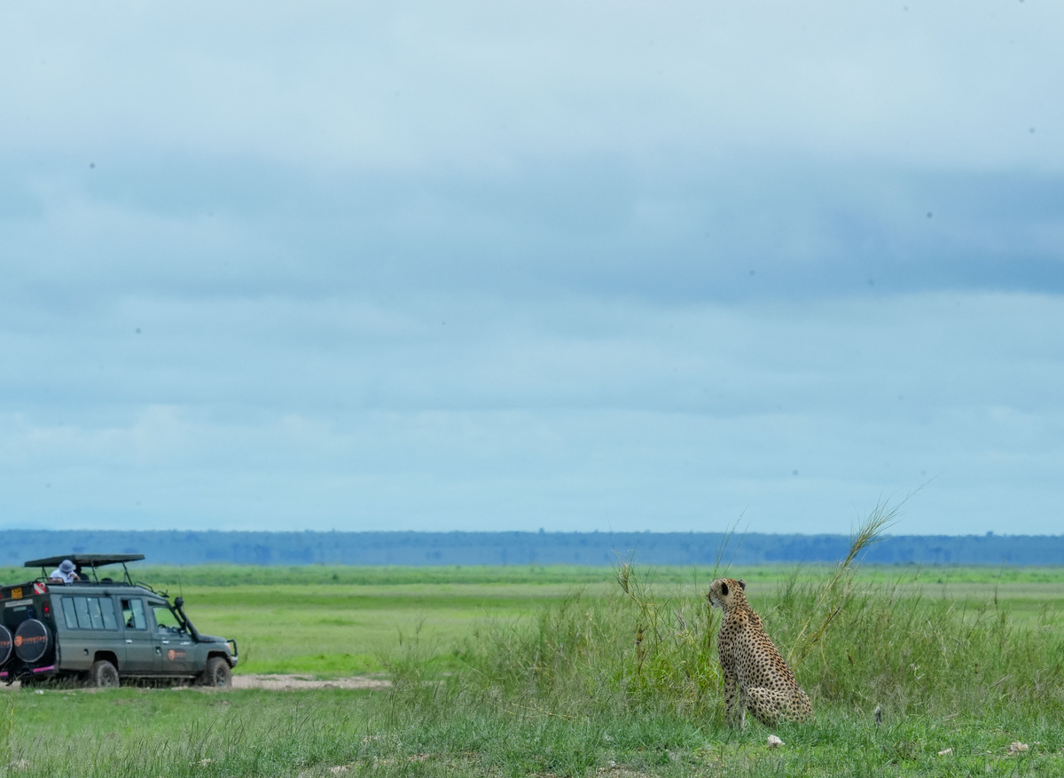 Cheetah Safaris guests in Amboseli