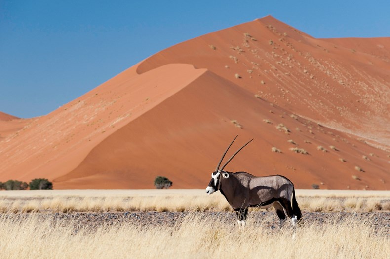 E824-wilderness-safaris-little-kulala_-sossusvlei.jpg