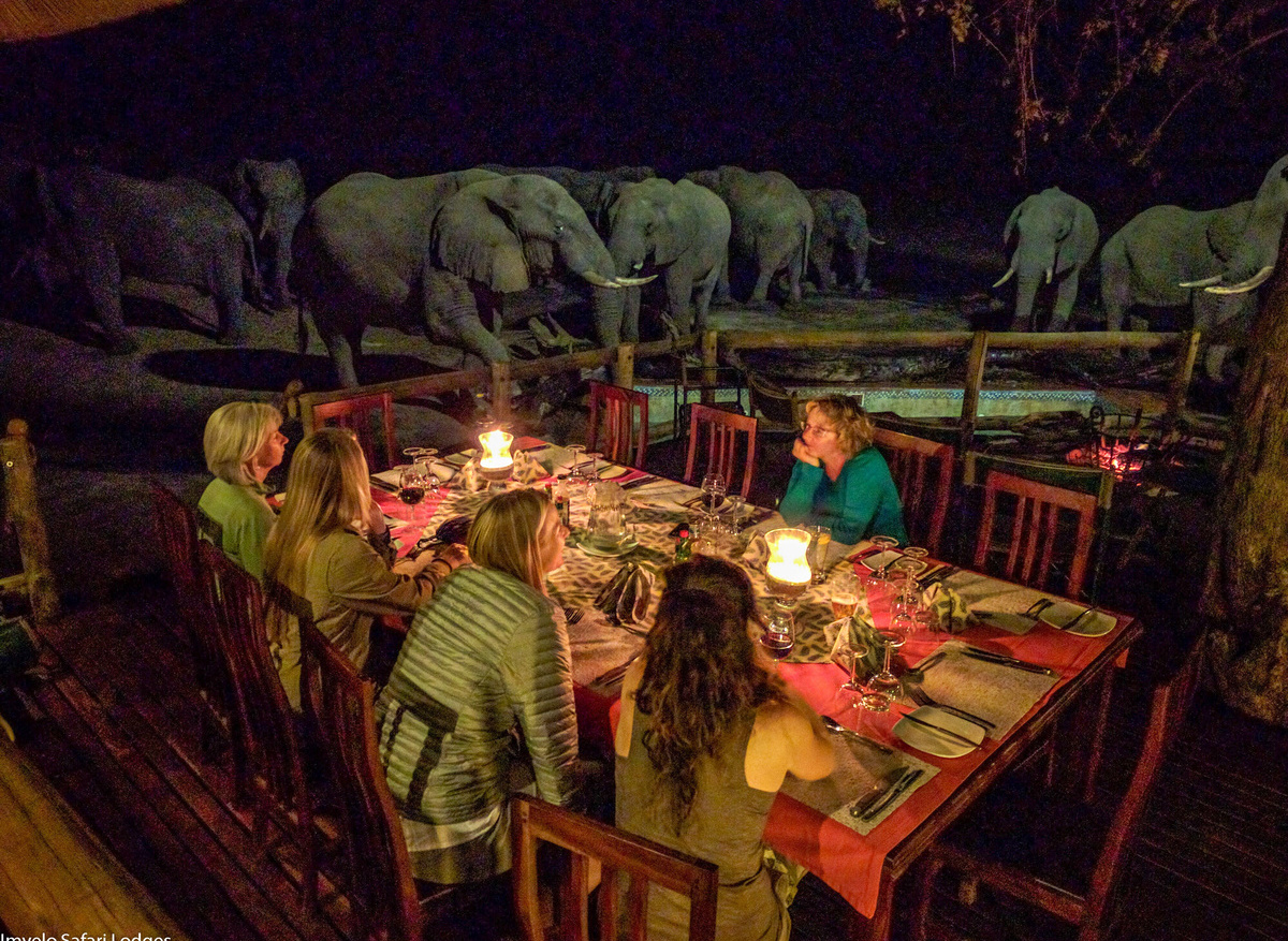 Dinner with the elephants at Nehimba Lodge