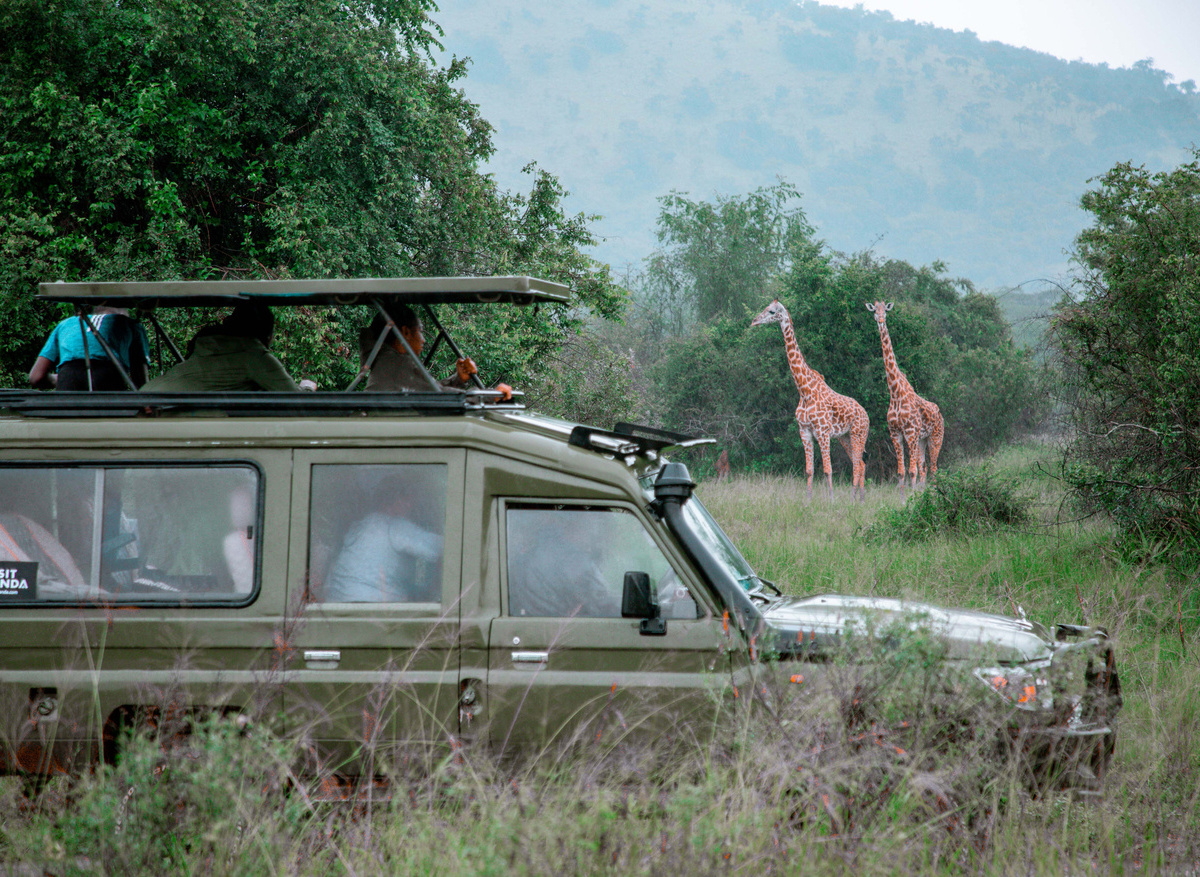 Wildlife Safari in Akagera National Park