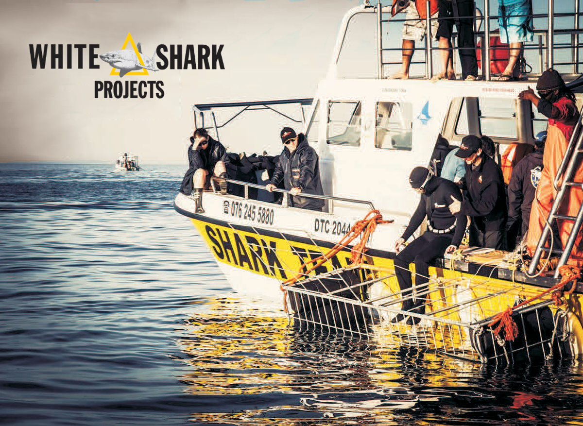 SHARK TEAM- Our Boat