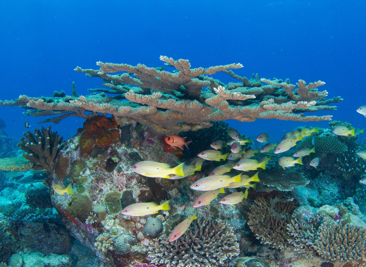 Conception South-9-large.jpg