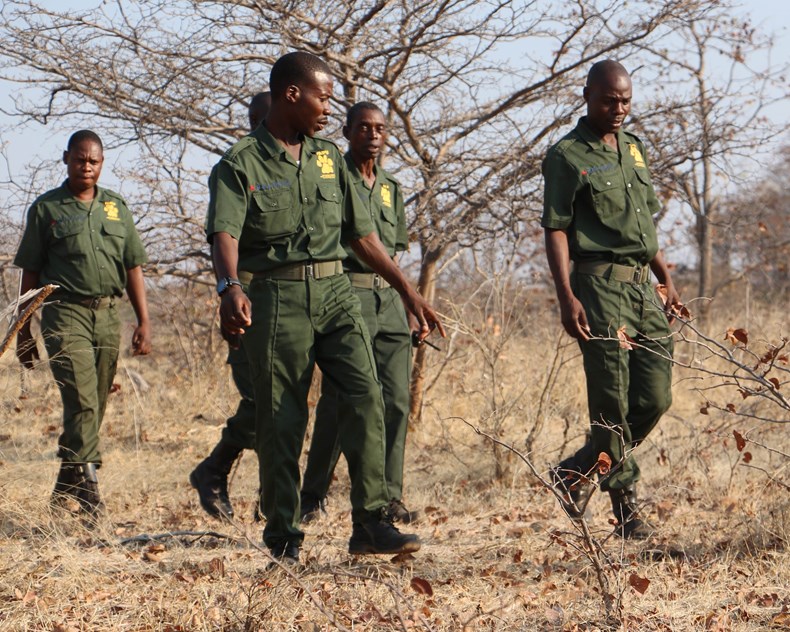 VFAPU scouts on patrol around Victoria Falls.jpg