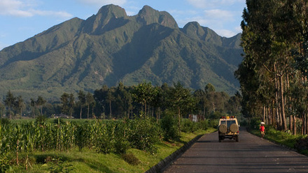 Volcanoes-National-Park-Rwanda-640x450.jpg