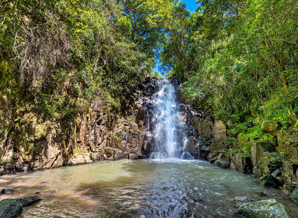 Carte Collection - Waterfall