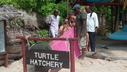 8 Turtle Hatchery Season II.jpg