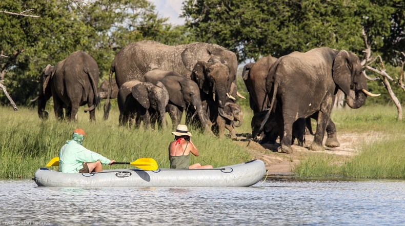EB0D-imvelo-safari-lodges-bomani-canoeing-with-elephants-bomani-concession-jan-2021-1-of-1-11.jpg