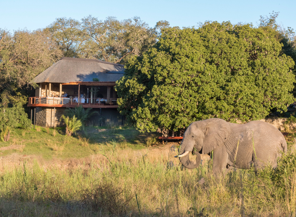 13. DSC_8469-Edit.jpeg