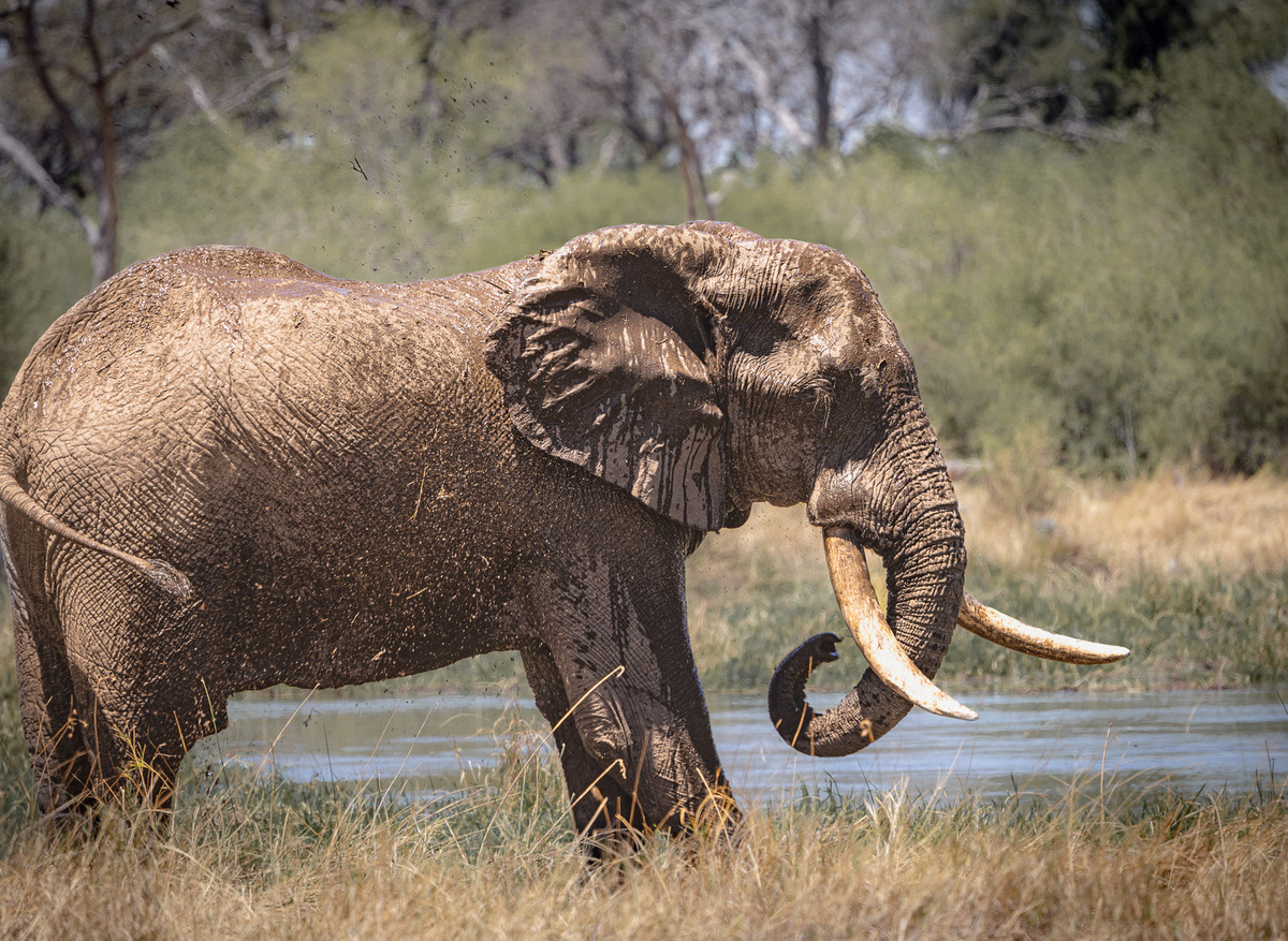 36713CA3-72C8-43B2-977BF38F7A049E30_9