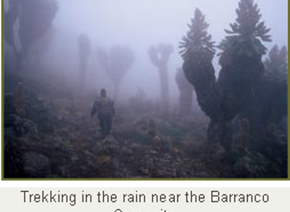 Trekking in the rain season .png