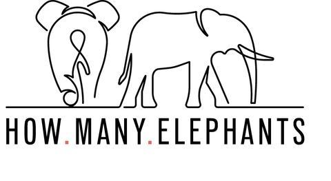 How Many Elephants.jpg