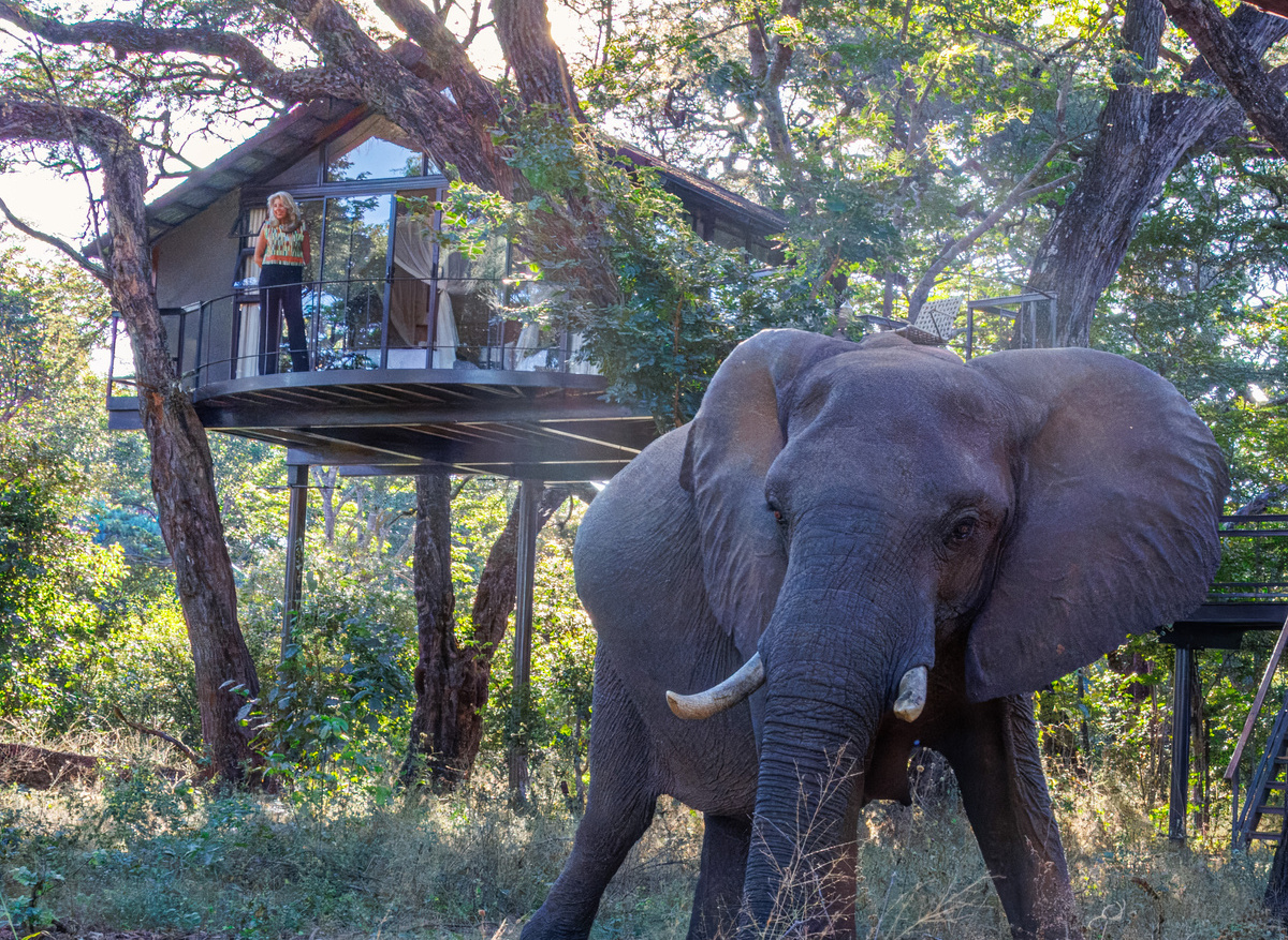 Tum Tum Treehouse Lodge - Treehouse experience