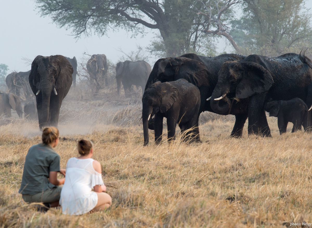Game Walk - African Monarch Lodges