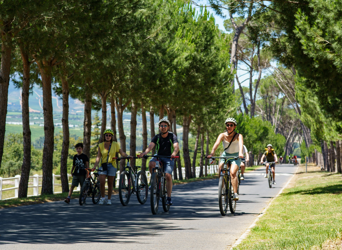 Bikes 'n Wines - Winelands Tours 8.jpg