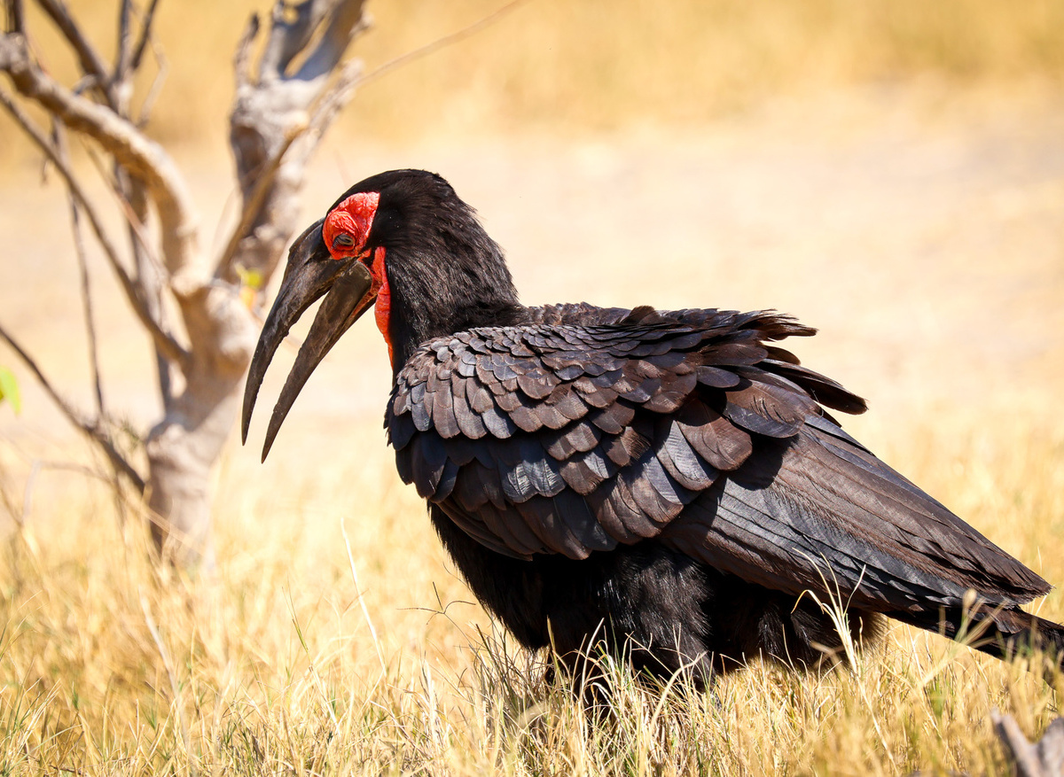 36713CA3-72C8-43B2-977BF38F7A049E30_17