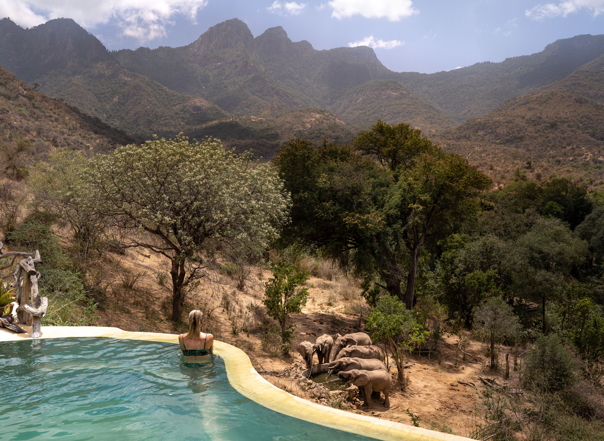 Sarara Treehouses _ Pool overlooking waterhole_ Image by Sarara.jpg