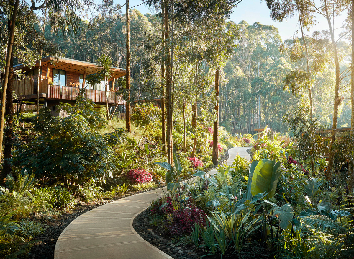 One&Only Gorilla's Nest