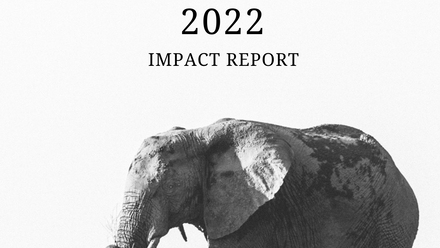 VFWT+2022+Impact+Report+Cover.png