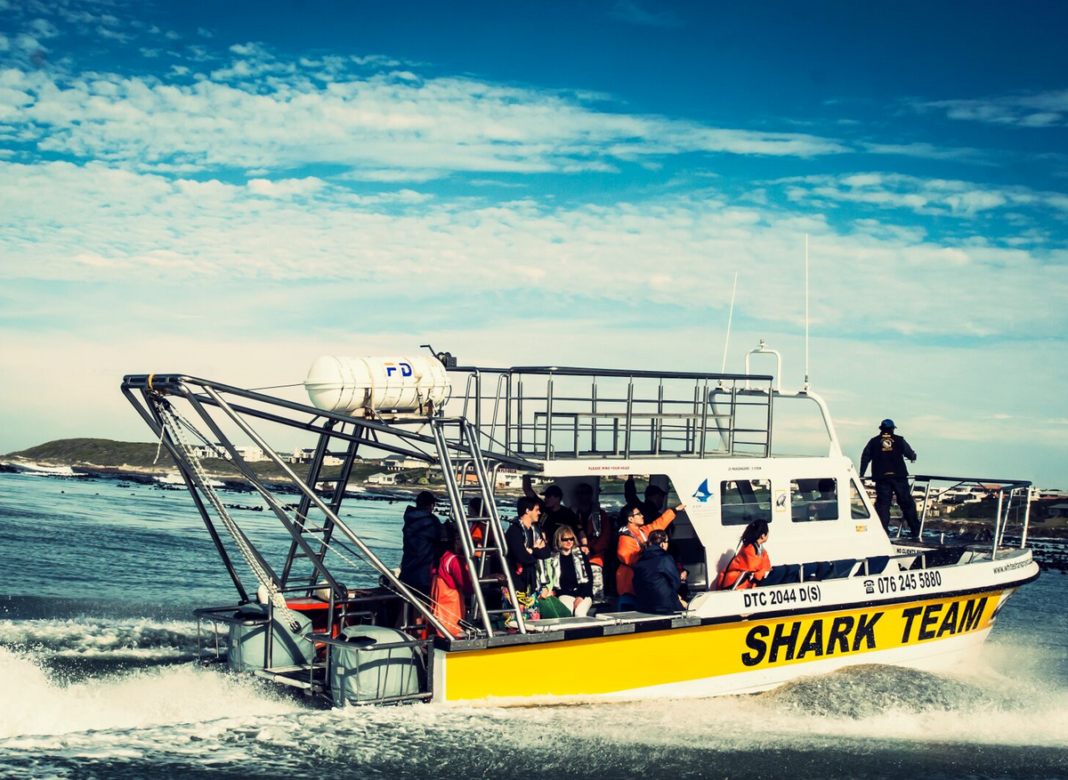 Boat High Res.png