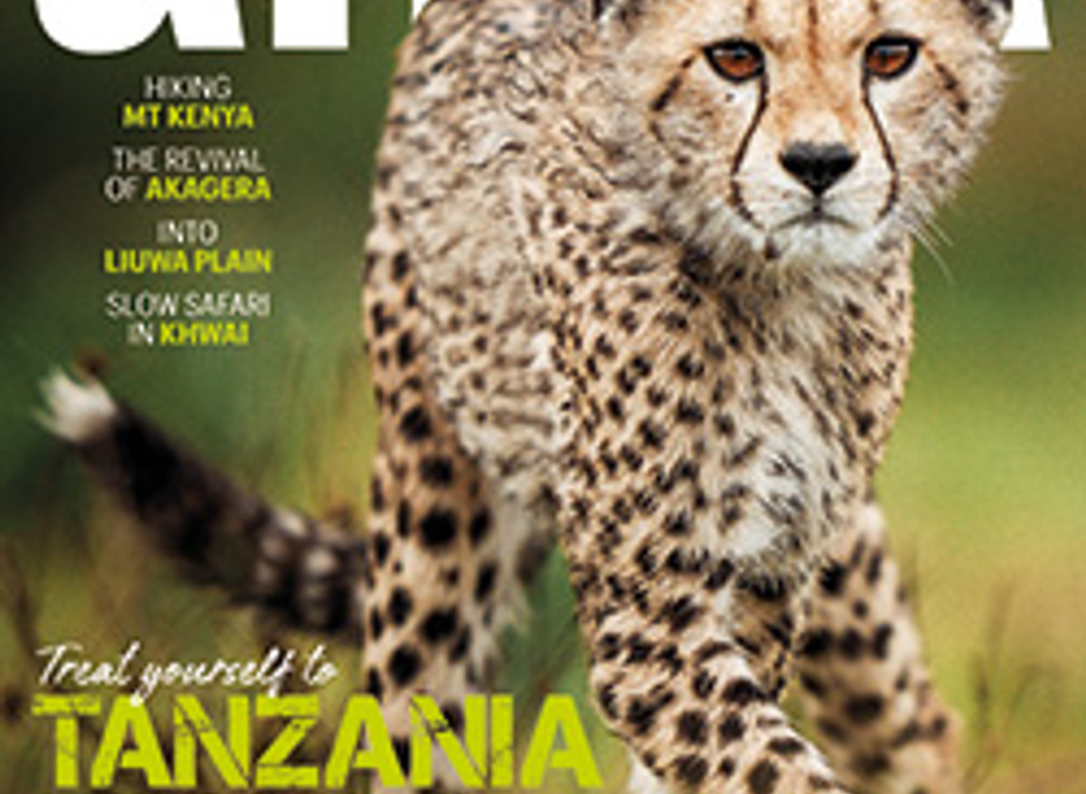 TA97Cover-250.jpg