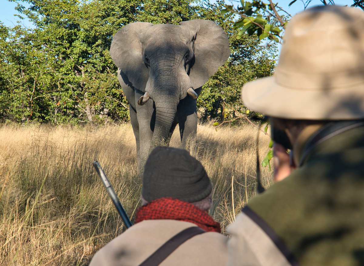 CampHwange_walking_02