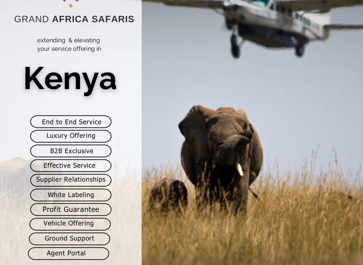 12E9A020-E4E5-4071-B3D1B6675C22BA35_5