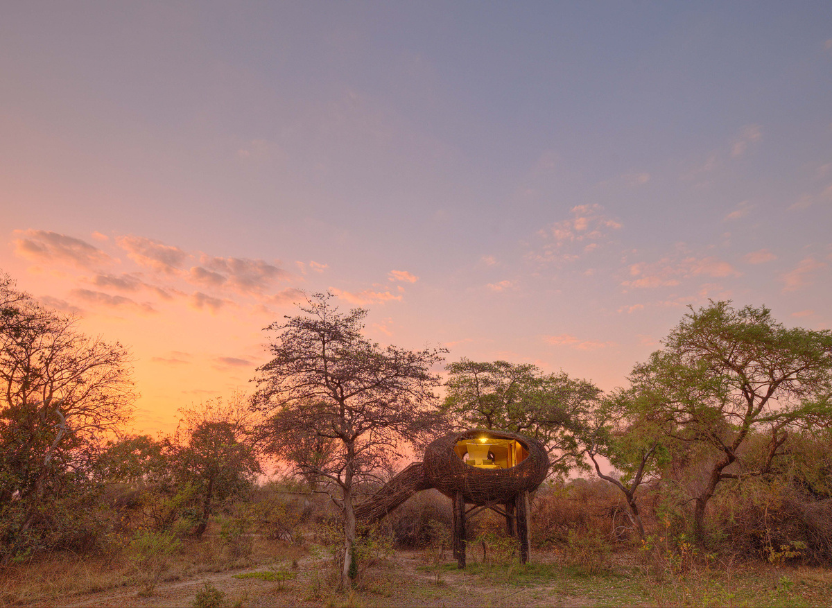 Green Safaris - Chisa Busanga - Zambia.jpg