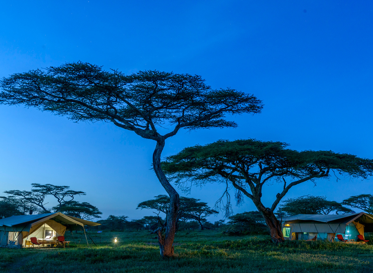Ndutu Wilderness Camp 