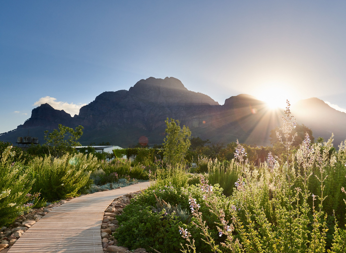 MW191108boschendal_72_016 (1).jpg