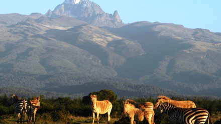 Visit-Mount-Kenya-National-Park-in-2021.jpg