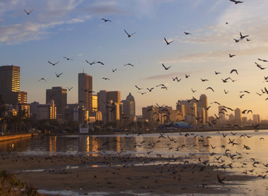 Durban beachfront