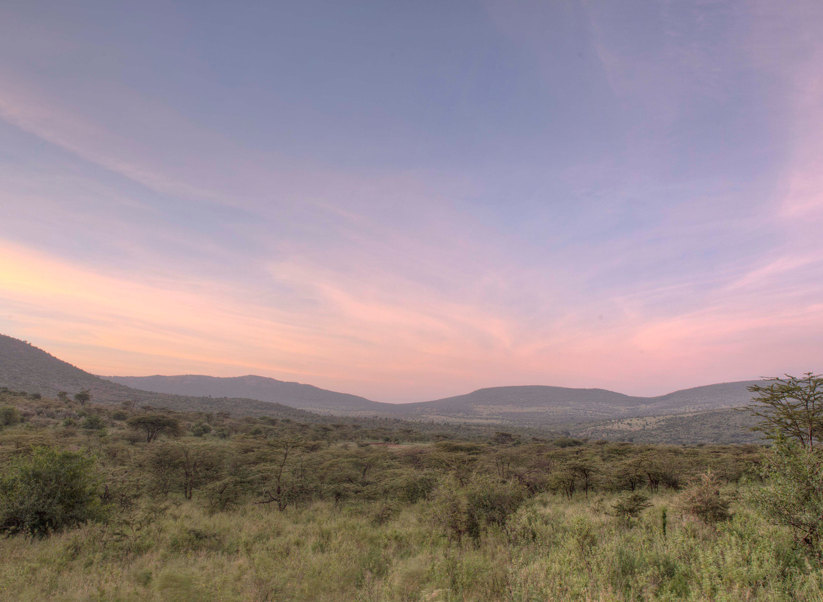 Landscape Spirit 2019-73.1.jpg