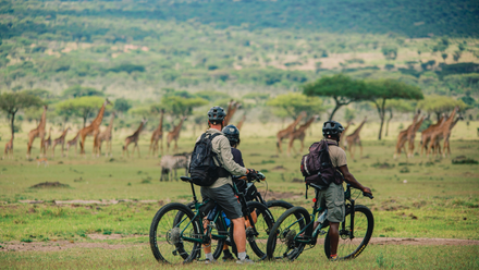 Ride+the+Serengeti+Giraffe.png