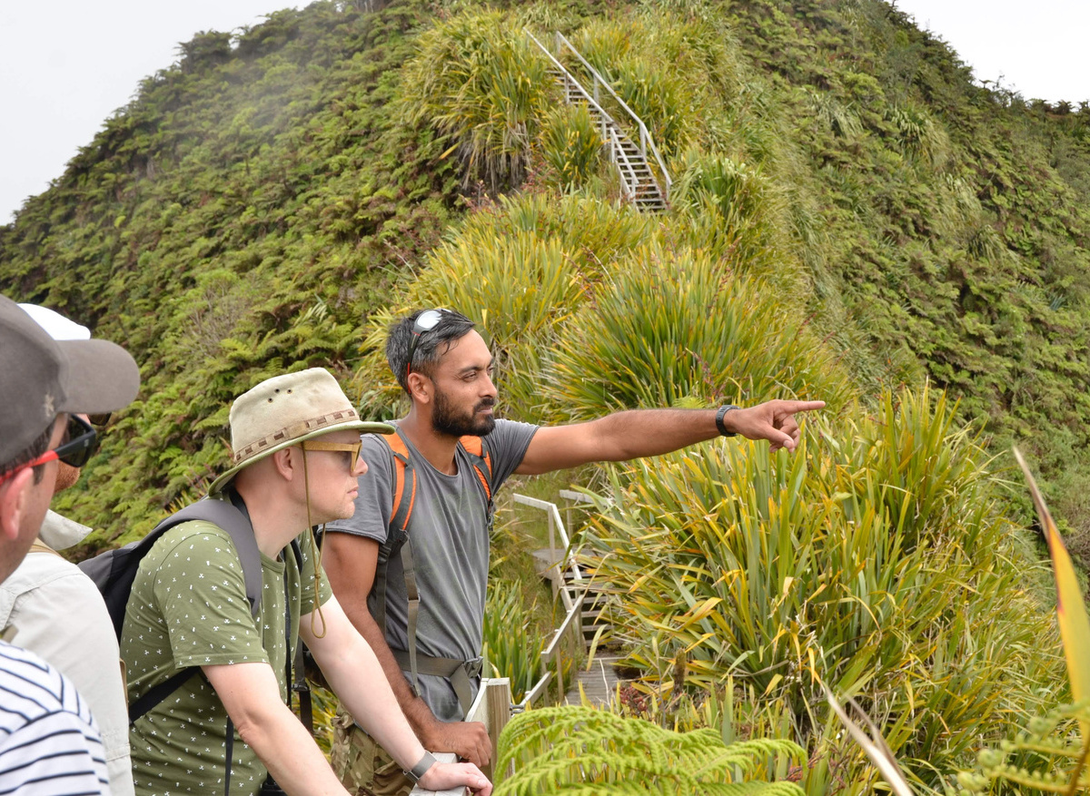 A tour with a local hiking guide.jpg